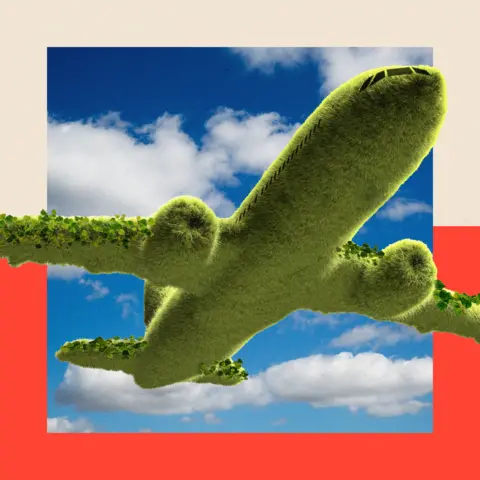 BBC A treated image of an aeroplane soaring through a sky filled with fluffy clouds. The aircraft's underbelly is visible and the entire plane is covered in green moss. Green vines wrap around the wings and curl around the engines as well.