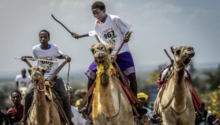 Riders compete at the Maralal International Camel Derby. — AFP