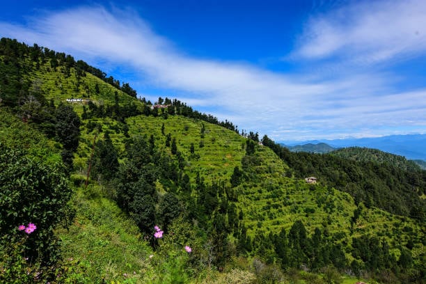 Kanatal, Uttarakhand: A calm winter getaway known for its forest trails, valley views, and cozy campsites. Kanatal offers a quiet alternative to crowded hill stations, perfect for bonfires, sunsets, and starry December nights.